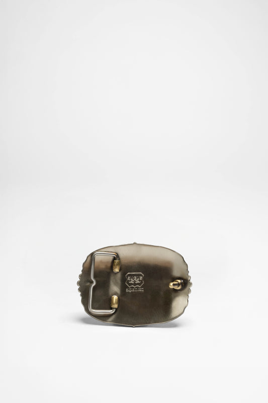 Seitenansicht Augus Rodeo