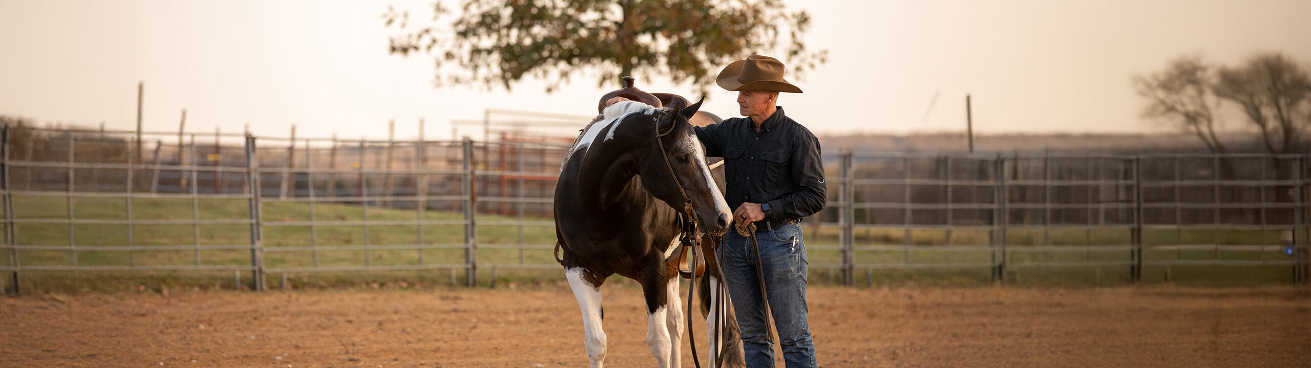 Westernreiter mit seinem Pferd auf dem Reitplatz.