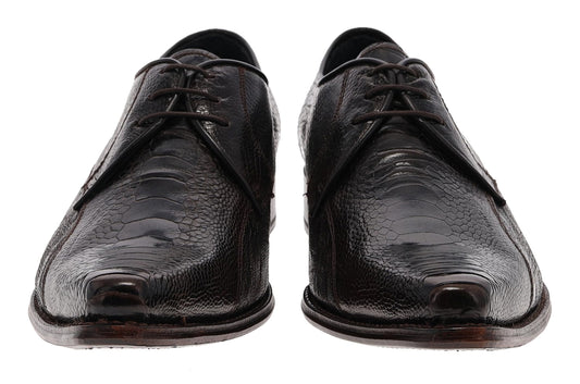 Seitenansicht Sendra 7965A BIOSCA Herren Dunkelbraun