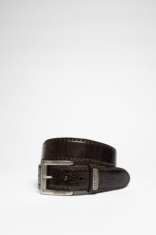 1016 Leather Belt Dark Brown - Ostrich Leather