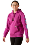 REBAR GRAPHIC HOODIE Damen Lila Thumbnail