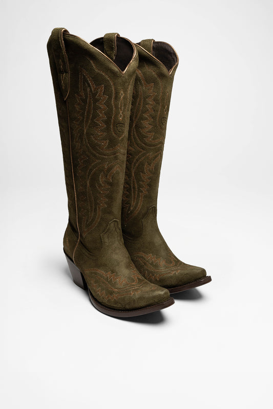 Ariat CASANOVA XTOE Damen Grün