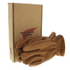 95230 GLOVES Gloves Brown - Thinsulate Insulation Thumbnail